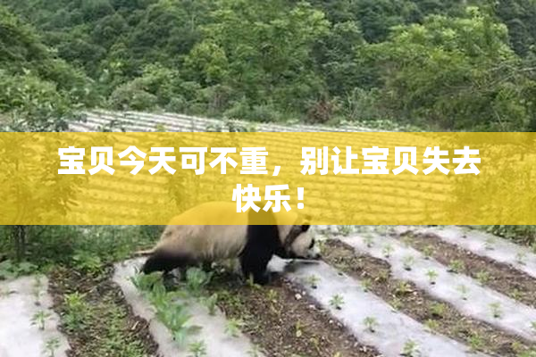 宝贝今天可不重，别让宝贝失去快乐！