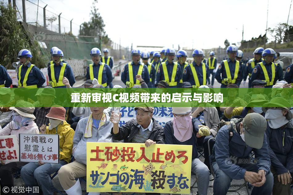 重新审视C视频带来的启示与影响