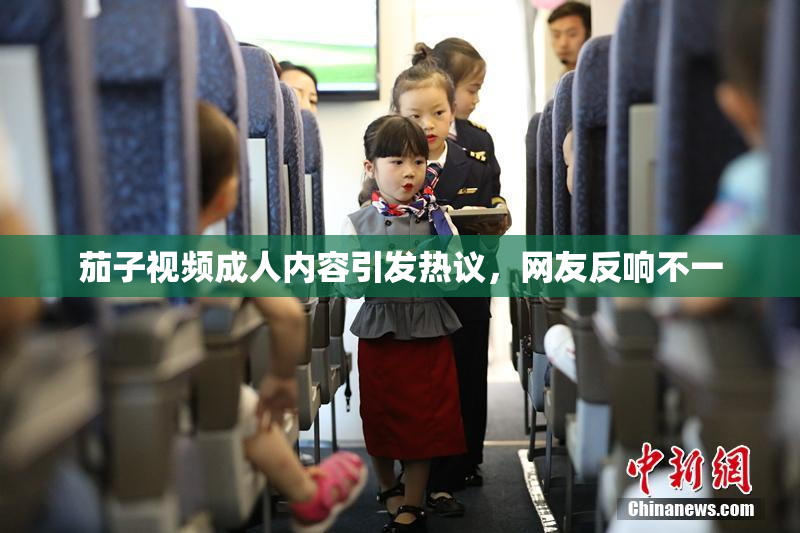 茄子视频成人内容引发热议，网友反响不一