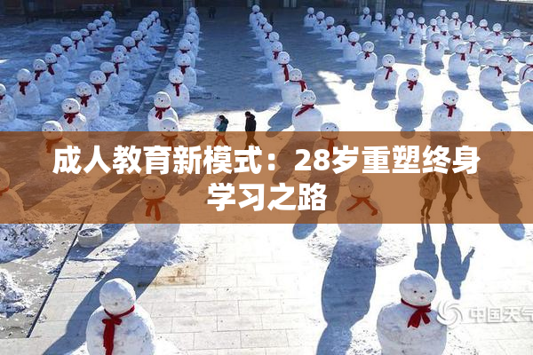 成人教育新模式：28岁重塑终身学习之路