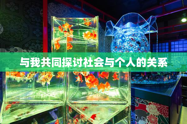 与我共同探讨社会与个人的关系