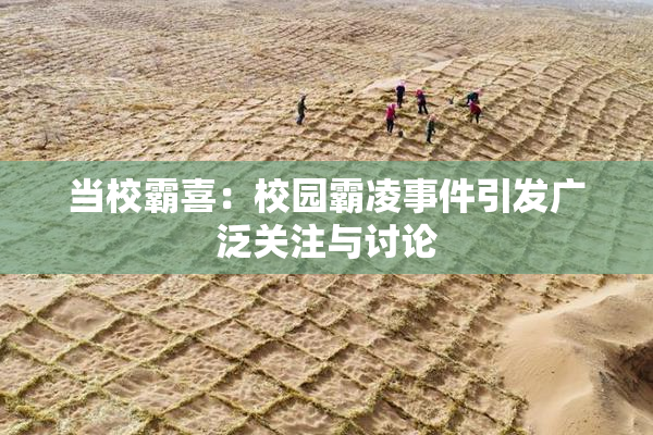 当校霸喜：校园霸凌事件引发广泛关注与讨论