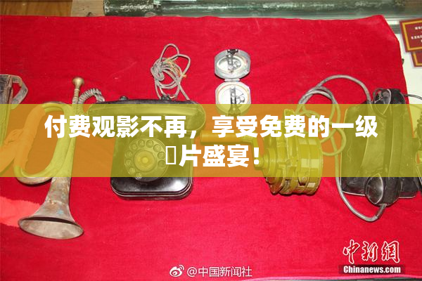 付费观影不再，享受免费的一级婬片盛宴！