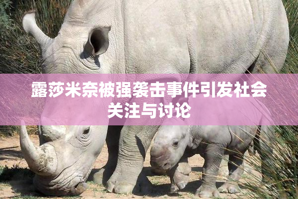 露莎米奈被强袭击事件引发社会关注与讨论