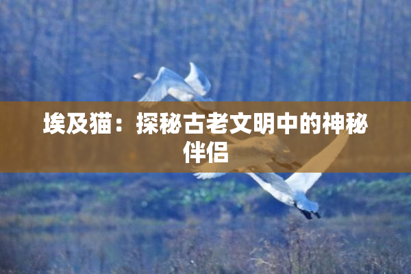 埃及猫：探秘古老文明中的神秘伴侣
