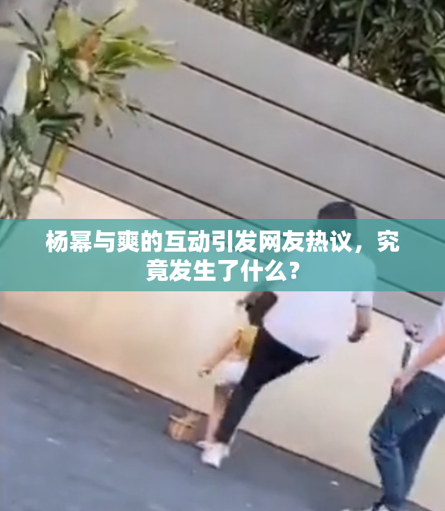杨幂与爽的互动引发网友热议，究竟发生了什么？