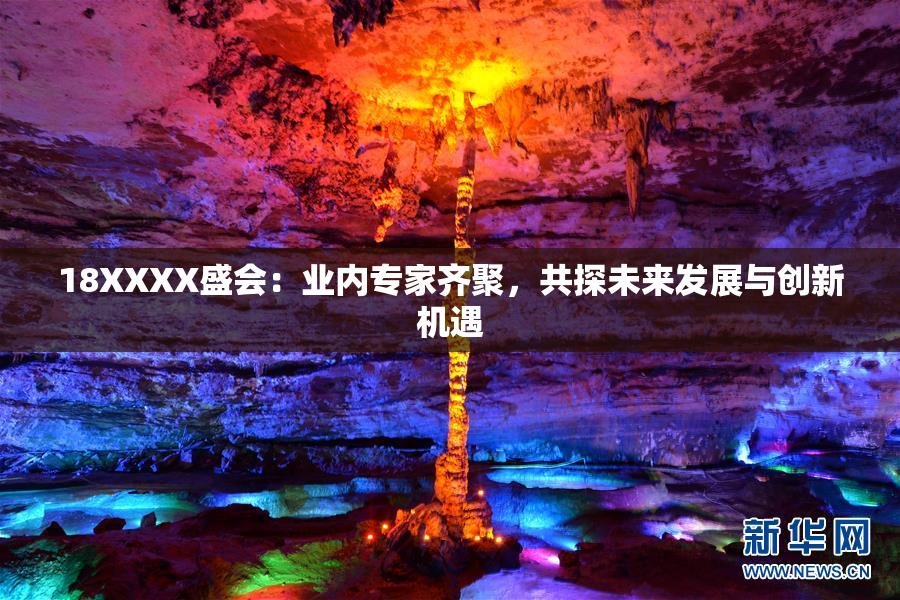 18XXXX盛会：业内专家齐聚，共探未来发展与创新机遇