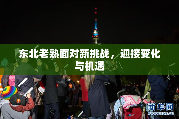 东北老熟面对新挑战，迎接变化与机遇