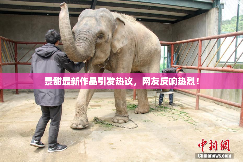 景甜最新作品引发热议，网友反响热烈！