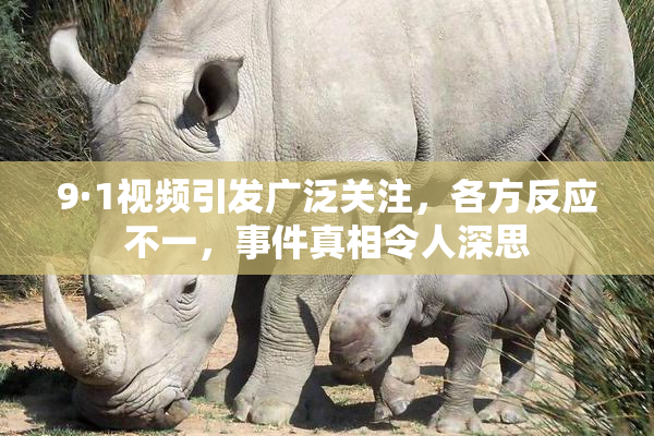 9·1视频引发广泛关注，各方反应不一，事件真相令人深思