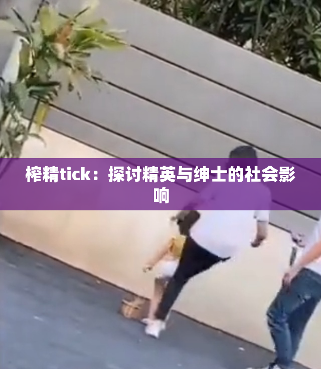 榨精tick：探讨精英与绅士的社会影响