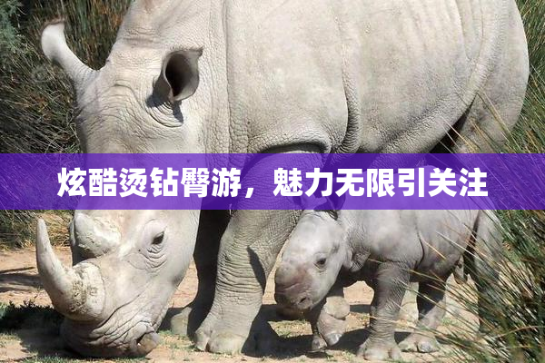 炫酷烫钻臀游，魅力无限引关注