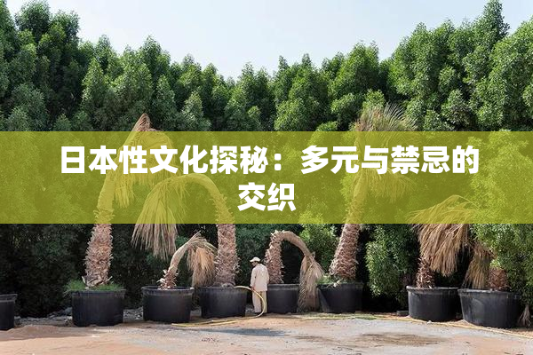 日本性文化探秘：多元与禁忌的交织