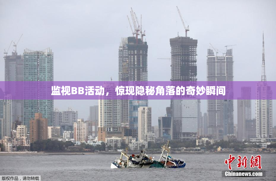 监视BB活动，惊现隐秘角落的奇妙瞬间
