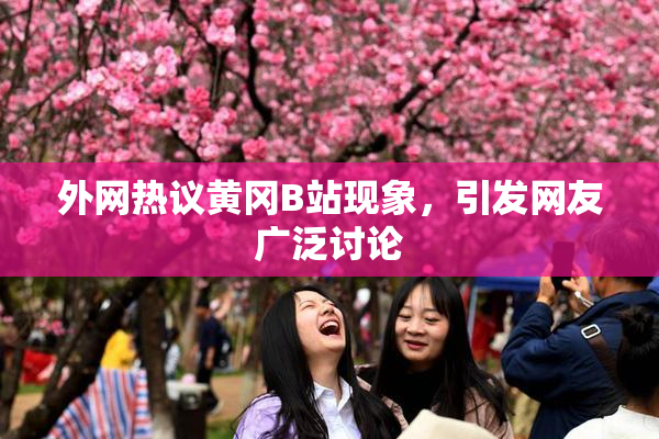 外网热议黄冈B站现象，引发网友广泛讨论