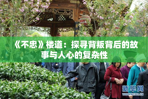 《不忠》楼道：探寻背叛背后的故事与人心的复杂性