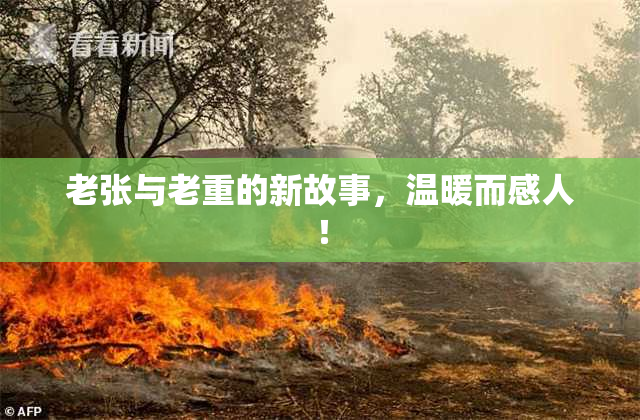 老张与老重的新故事，温暖而感人！