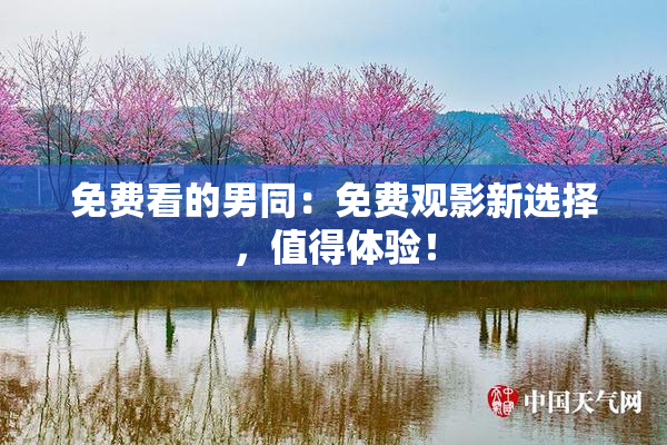 免费看的男同：免费观影新选择，值得体验！