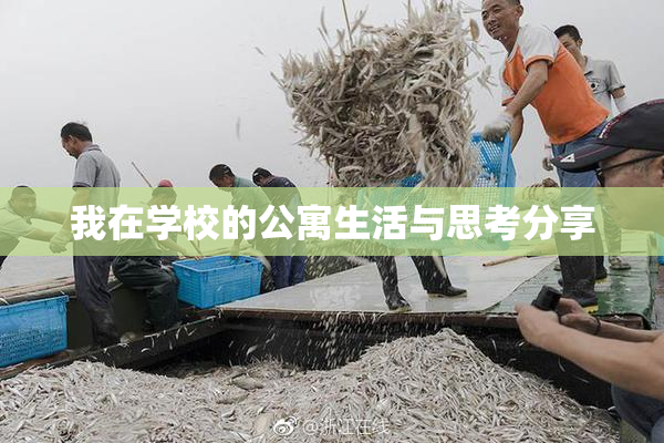 我在学校的公寓生活与思考分享