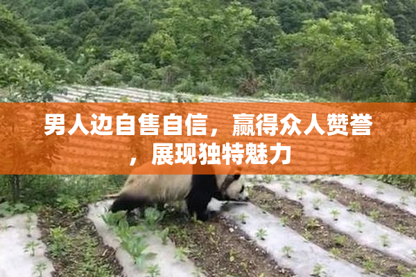男人边自售自信，赢得众人赞誉，展现独特魅力