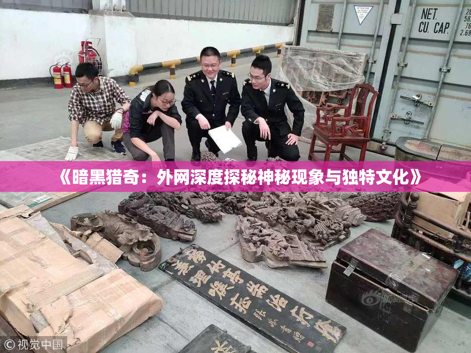 《暗黑猎奇：外网深度探秘神秘现象与独特文化》