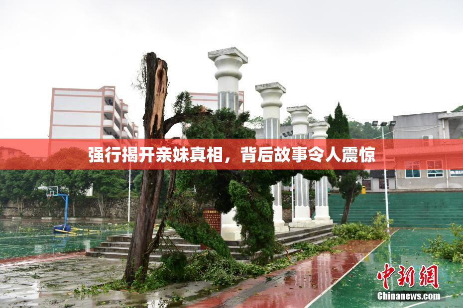 强行揭开亲妹真相，背后故事令人震惊