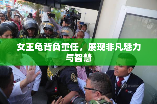女王龟背负重任，展现非凡魅力与智慧