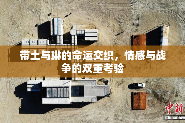 带土与琳的命运交织，情感与战争的双重考验