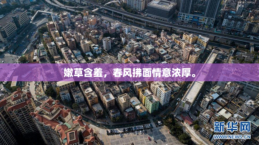 嫩草含羞，春风拂面情意浓厚。