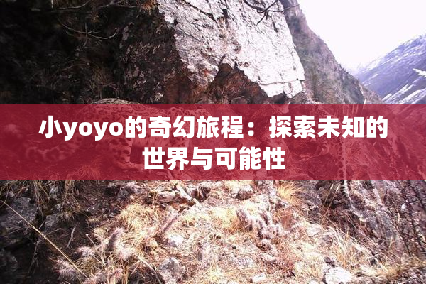 小yoyo的奇幻旅程：探索未知的世界与可能性