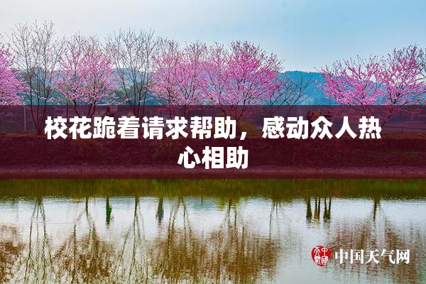 校花跪着请求帮助，感动众人热心相助