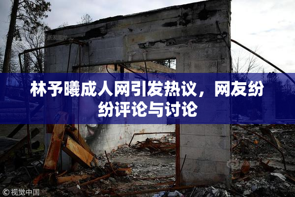林予曦成人网引发热议，网友纷纷评论与讨论