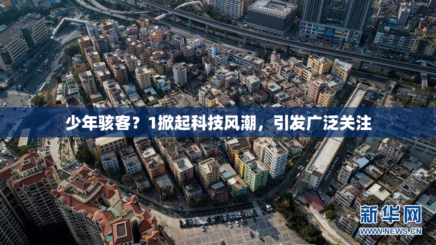 少年骇客？1掀起科技风潮，引发广泛关注