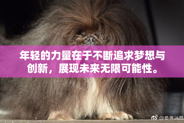 年轻的力量在于不断追求梦想与创新，展现未来无限可能性。