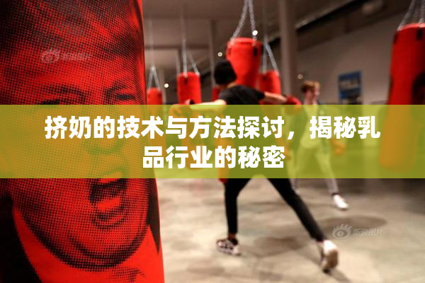 挤奶的技术与方法探讨，揭秘乳品行业的秘密