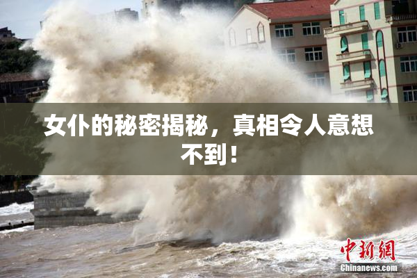 女仆的秘密揭秘，真相令人意想不到！