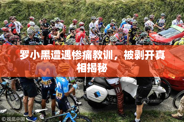 罗小黑遭遇惨痛教训，被剥开真相揭秘