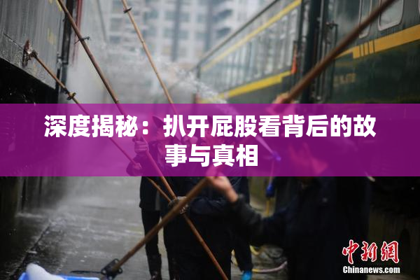 深度揭秘：扒开屁股看背后的故事与真相