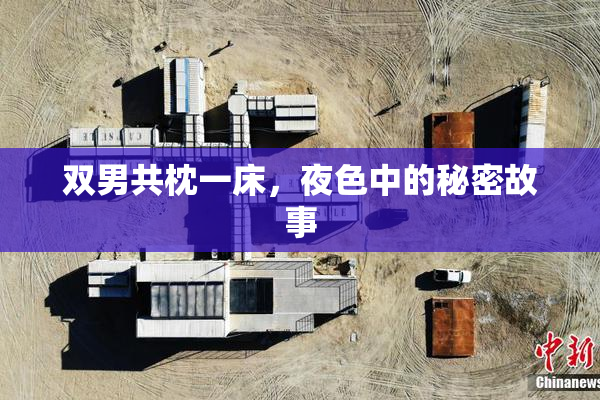 双男共枕一床，夜色中的秘密故事