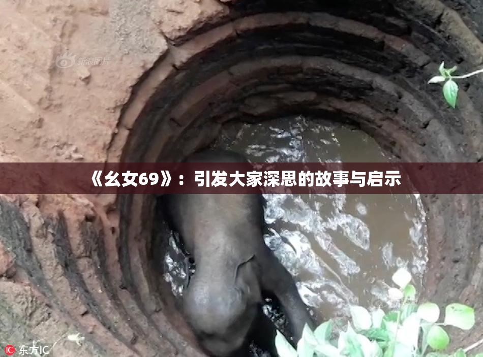 《幺女69》：引发大家深思的故事与启示