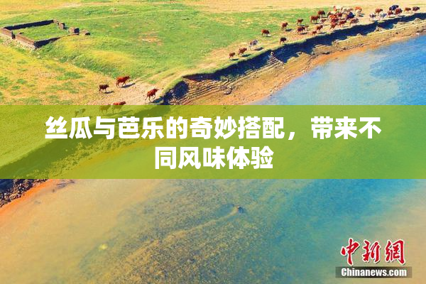 丝瓜与芭乐的奇妙搭配，带来不同风味体验