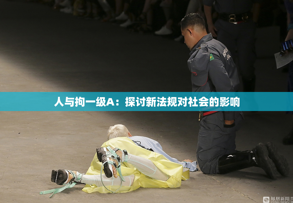 人与拘一级A：探讨新法规对社会的影响