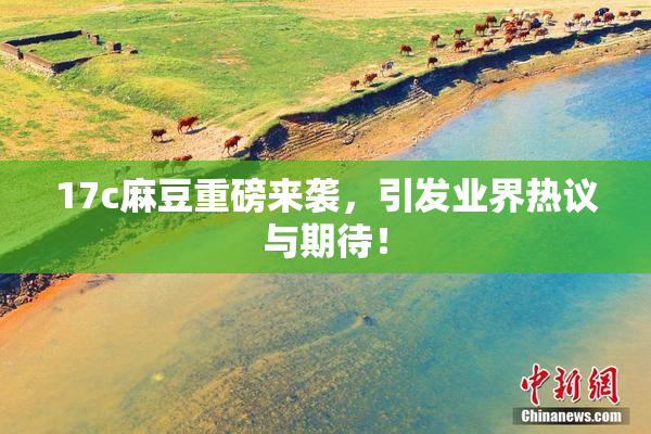 17c麻豆重磅来袭，引发业界热议与期待！