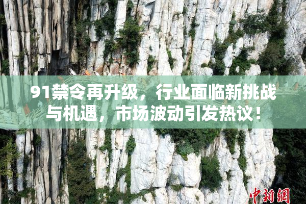 91禁令再升级，行业面临新挑战与机遇，市场波动引发热议！