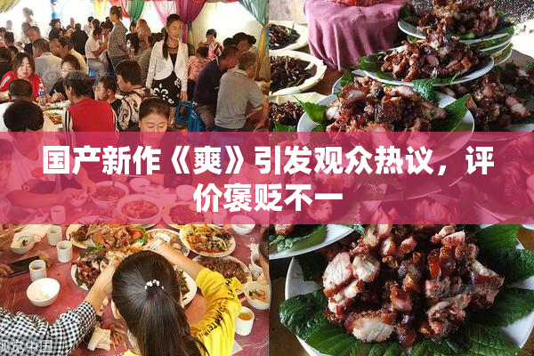 国产新作《爽》引发观众热议，评价褒贬不一