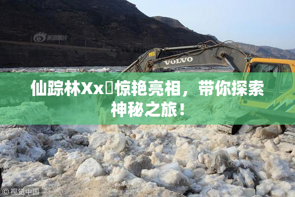 仙踪林Xx乂惊艳亮相，带你探索神秘之旅！