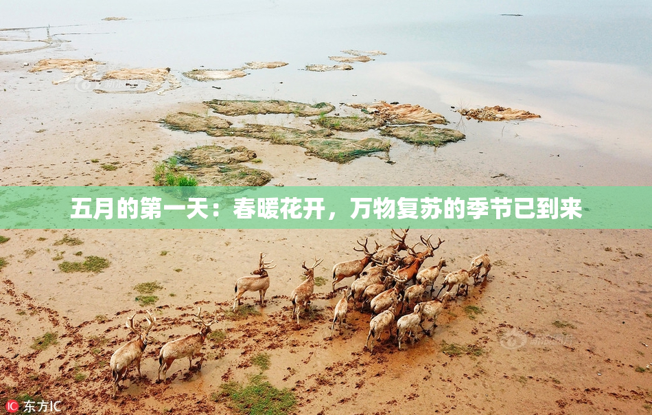 五月的第一天：春暖花开，万物复苏的季节已到来