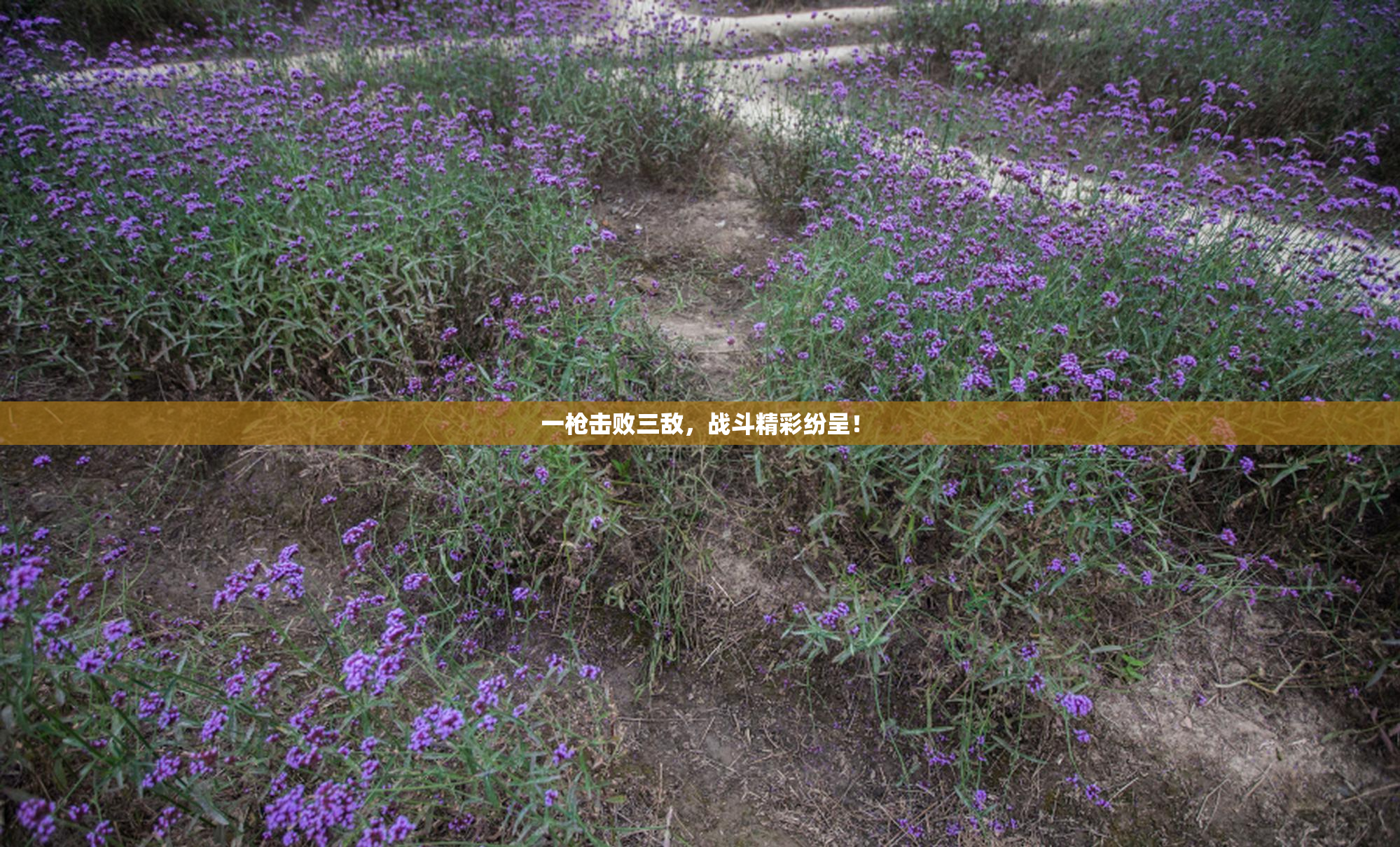 一枪击败三敌，战斗精彩纷呈！