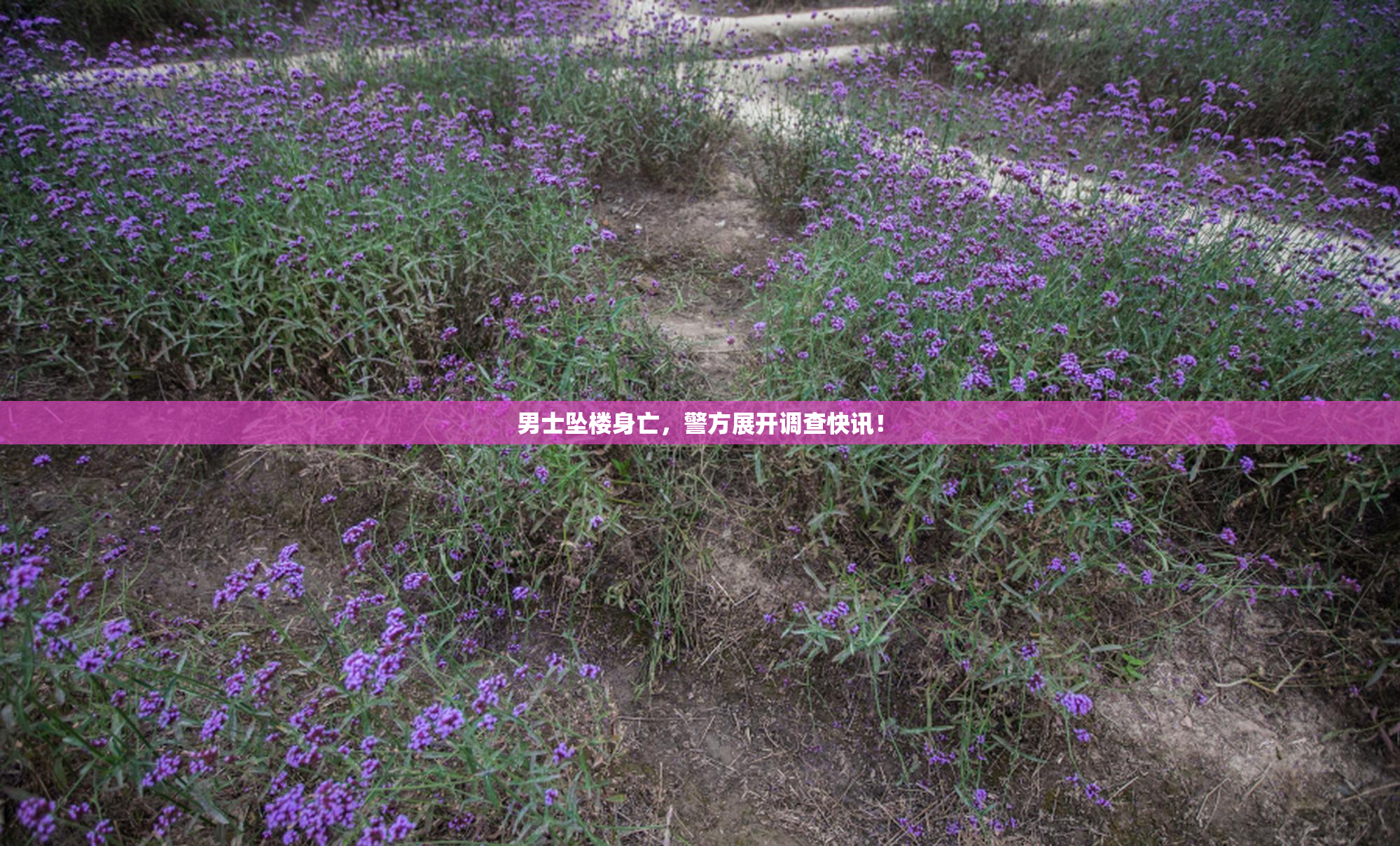 男士坠楼身亡，警方展开调查快讯！