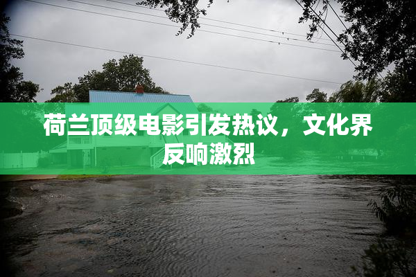 荷兰顶级电影引发热议，文化界反响激烈